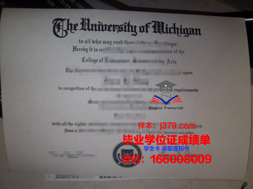纽黑文大学 diploma 毕业证