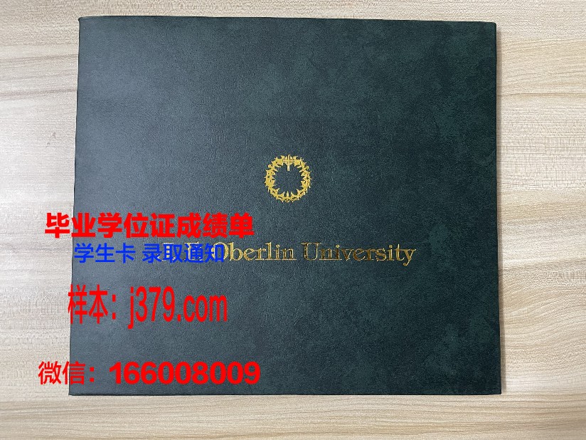 雷根斯堡大学研究生毕业证(雷根斯堡应用技术大学在应用技术大学的排名)