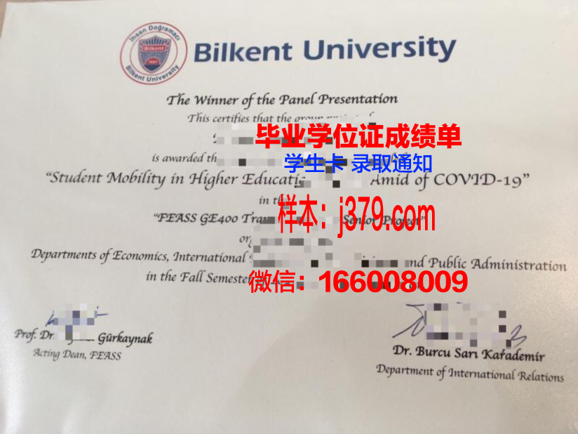 阿里坎特大学毕业学位