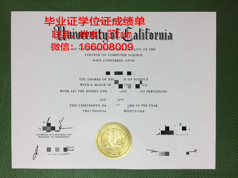 雷根斯堡大学毕业证壳子(雷丁大学毕业证)