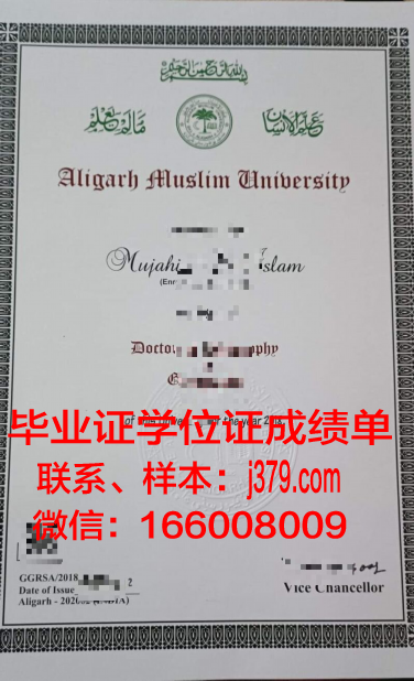 阿里格尔穆斯林大学毕业证