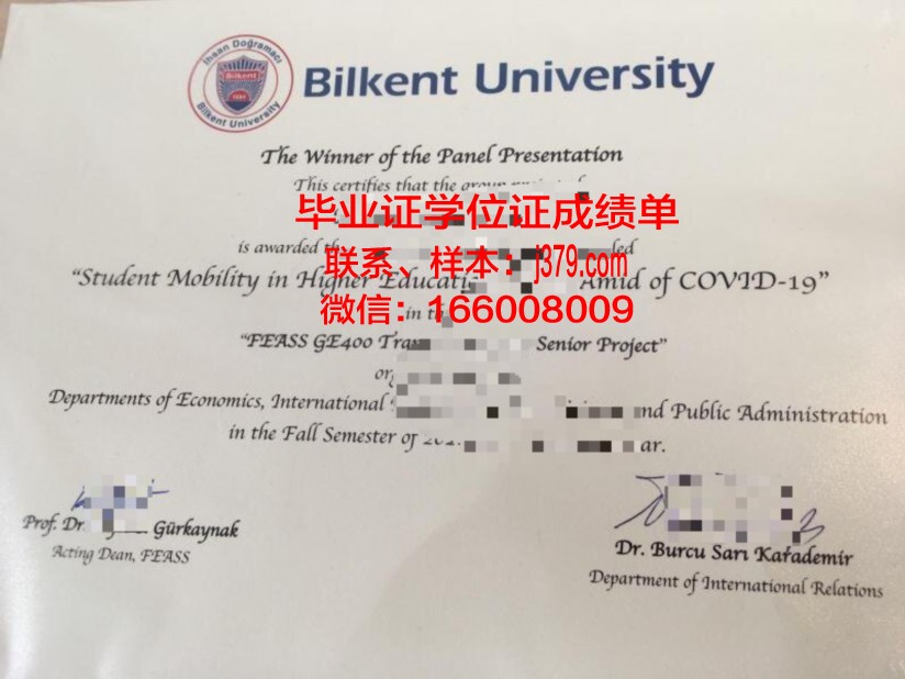 阿里坎特大学毕业学位
