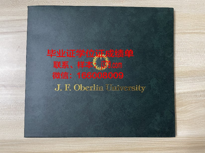 雷根斯堡大学毕业证书模板(德国雷根斯堡大学)