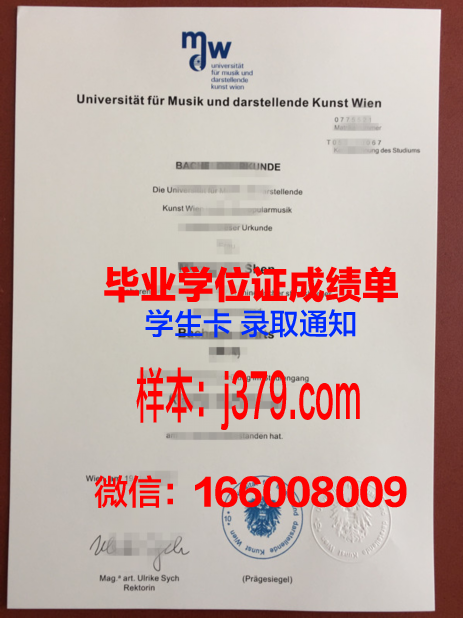 维也纳技术大学硕士毕业证(维也纳大学本科读几年)