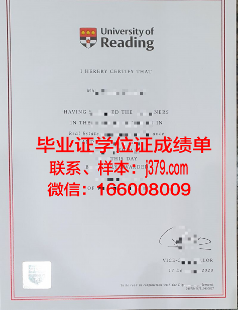 雷丁大学成绩单从哪里打印(雷丁大学高考成绩)