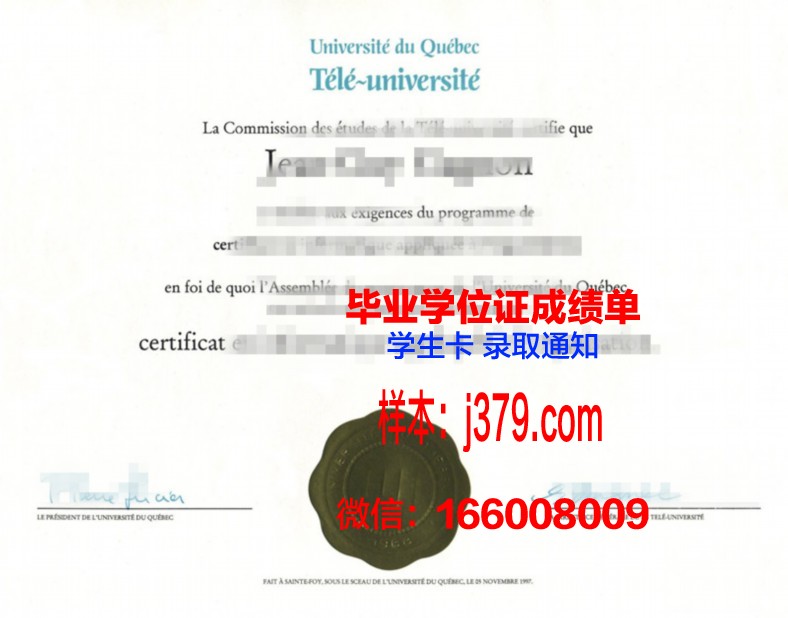 阿菲恩科塔特佩大学硕士毕业证书样本