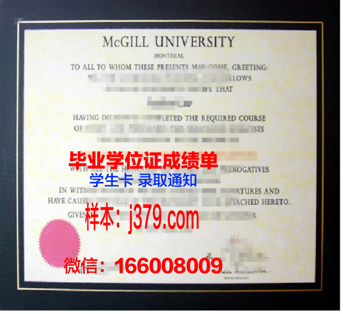 经院硕士学位证书图片样本：探寻学术辉煌的印记