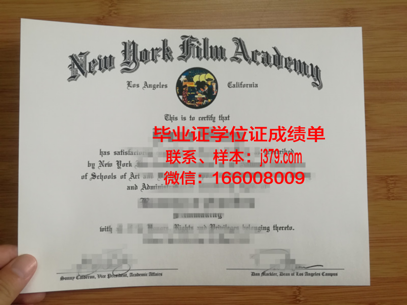 纽约视觉艺术学院毕业证图片School of Visual Arts Diploma