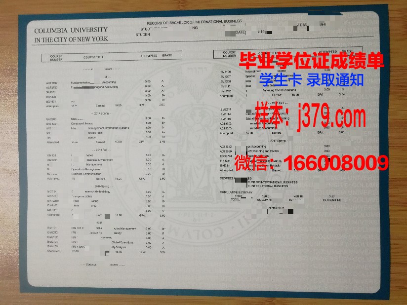 维塞乌理工学院成绩单