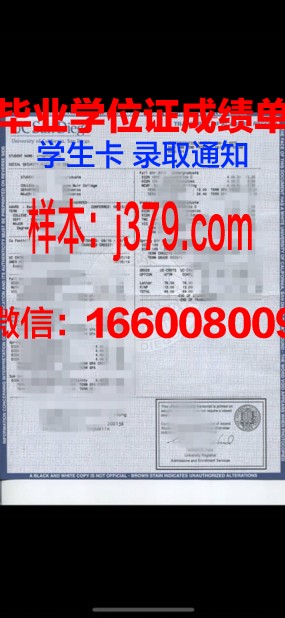 维塞乌理工学院证书成绩单