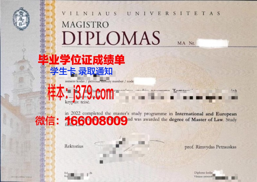 维尔纽斯艺术学院硕士毕业证(维尔纽斯美术学院)