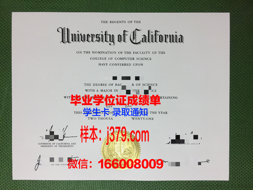 维塞乌理工学院毕业证是什么样子