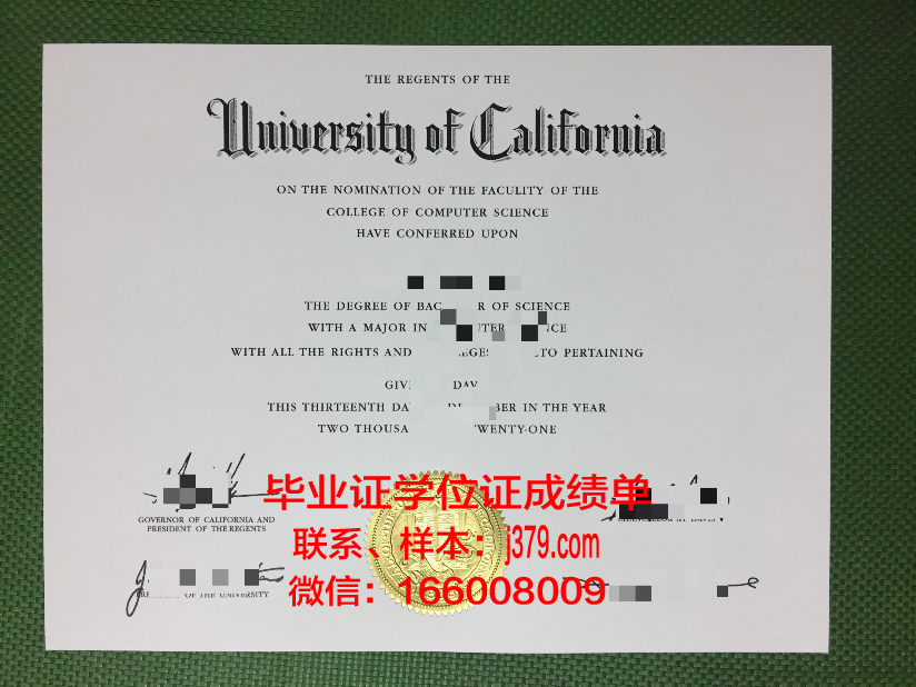 维斯瓦学院毕业证成绩单：一张纸背后的故事