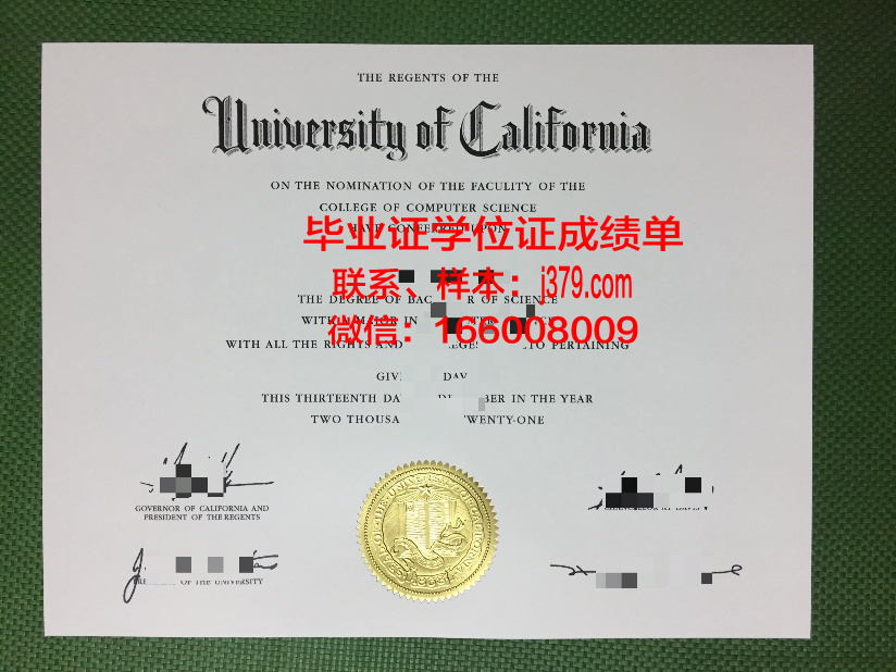 雅西国立艺术大学本科毕业证：承载梦想的证书，开启未来之门