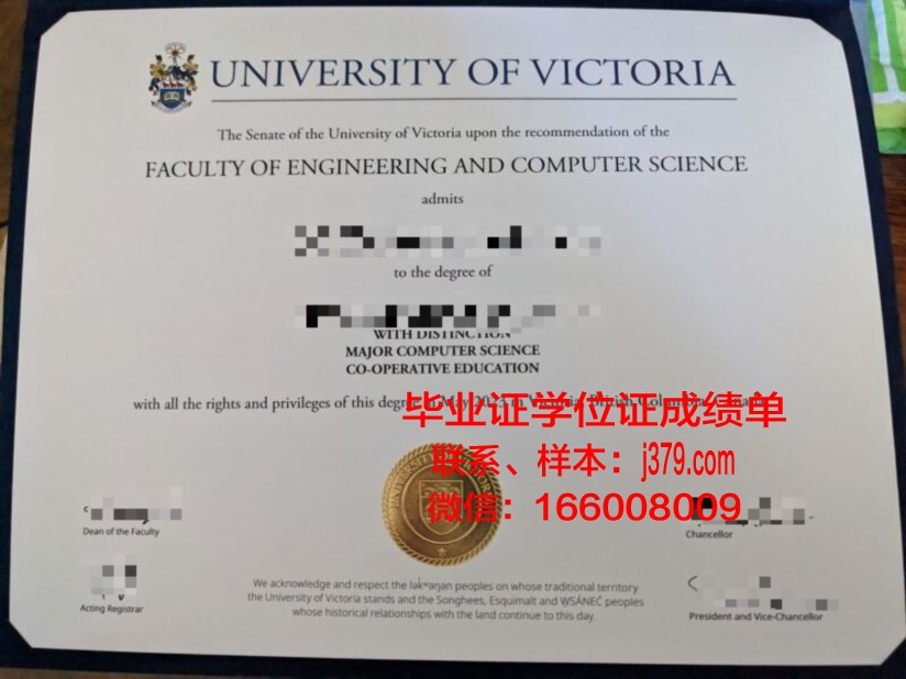 维多利亚成绩单：揭示教育制度下的反思与启示